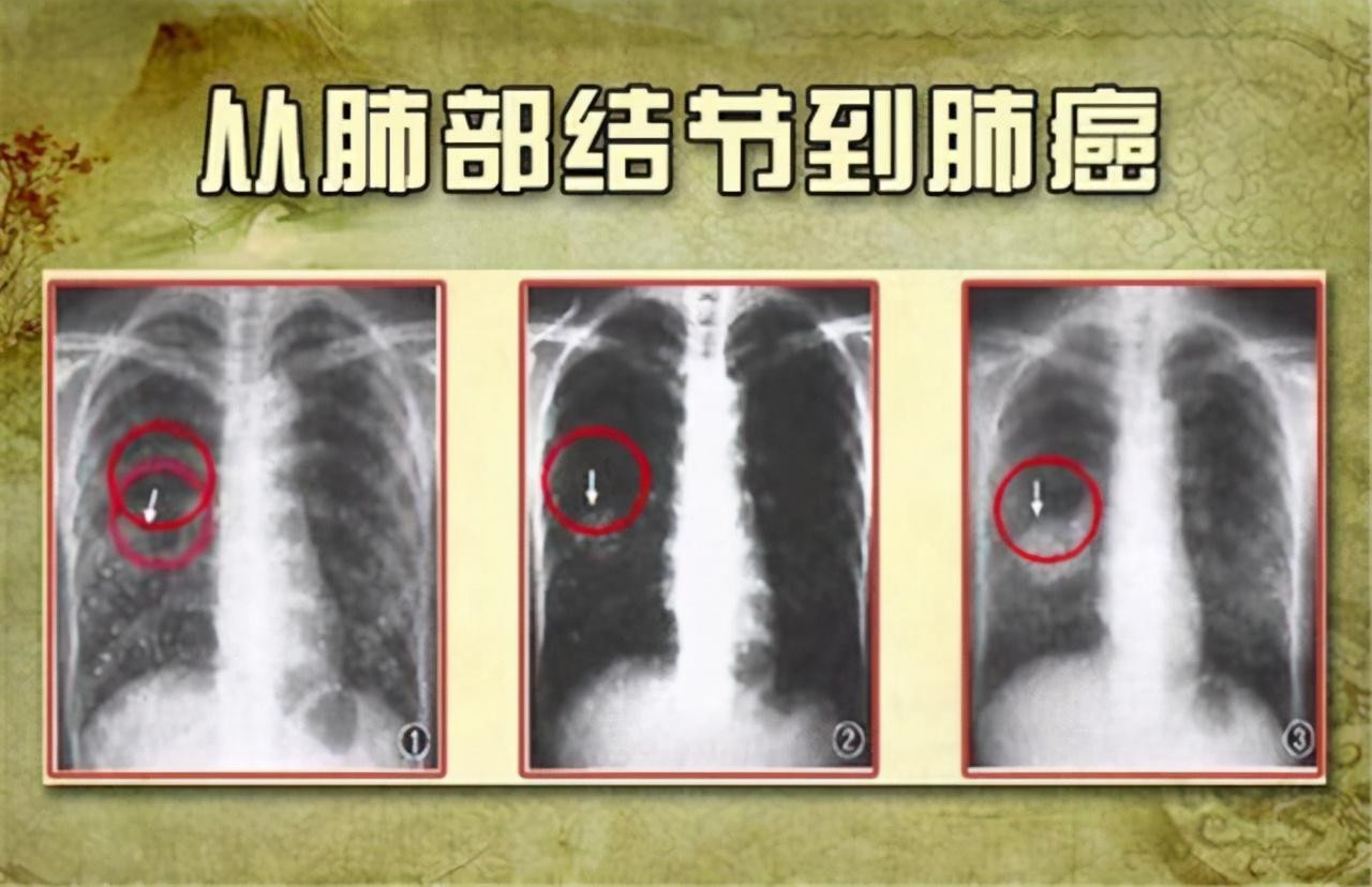 一肖一码，详细解答、科学解答解释落实